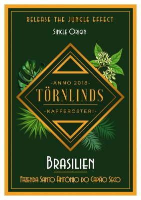 kaffebönor törnlinds brasilien san antonio