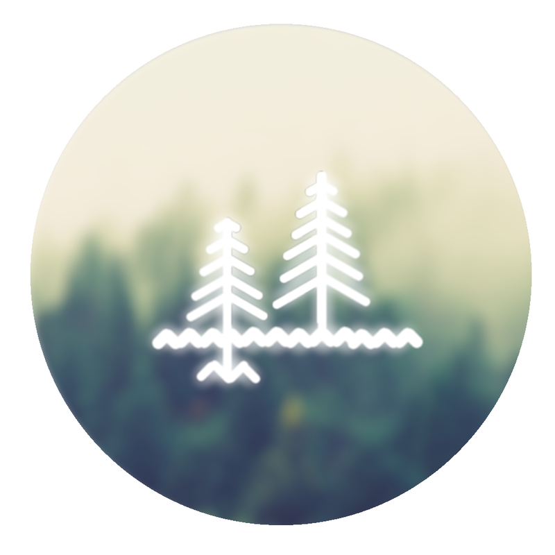 Conifer Specialty Coffee