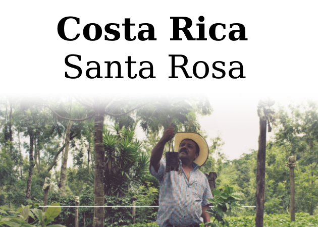 Råkaffe Costa Rica Santa Rosa