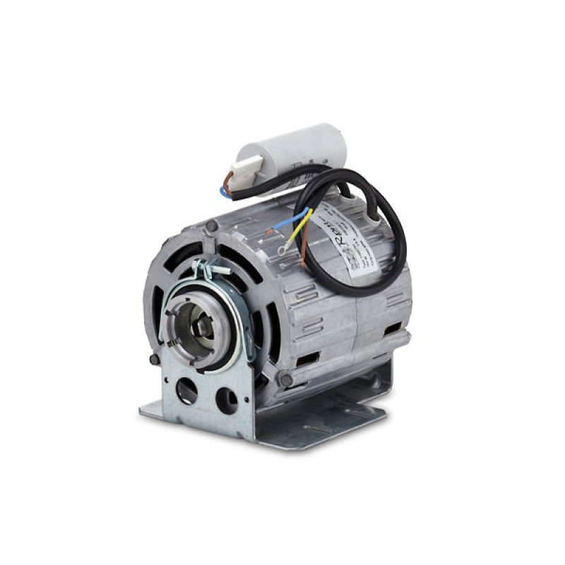 Motor Rotationspump W165 220V