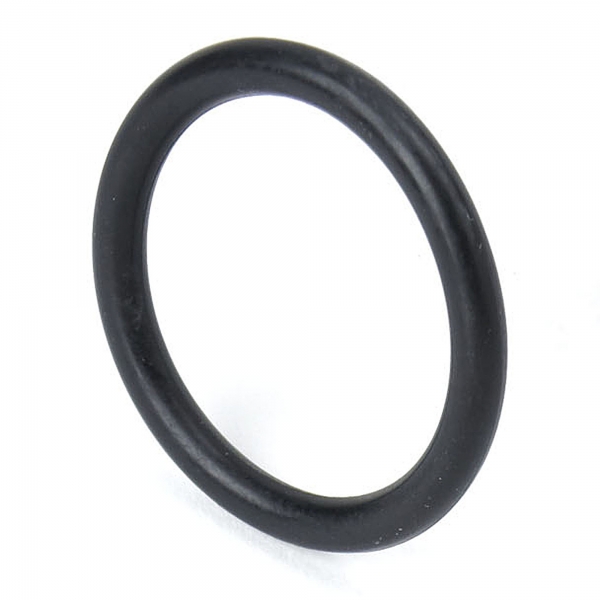 O-Ring Preinfusion E61